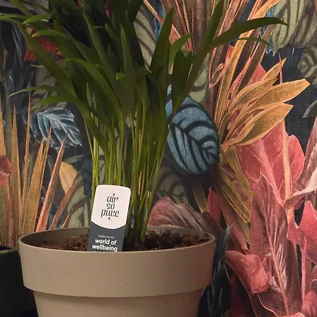 Appartement Leaf By Sattal *