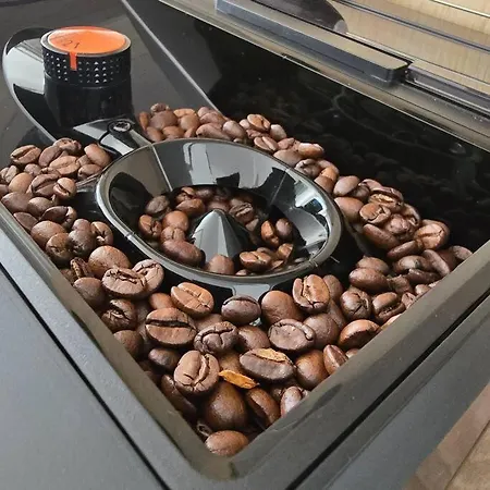 Leaf By Sattal Bukareszt