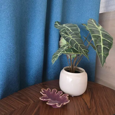 Leaf By Sattal Бухарест