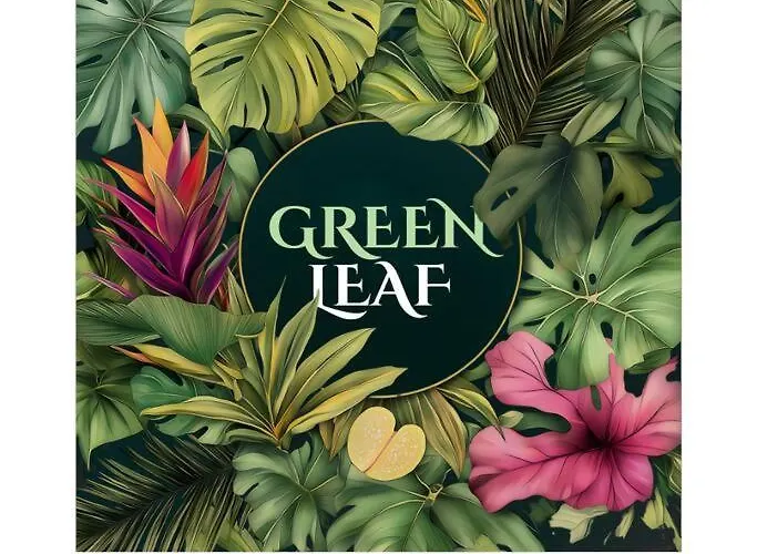 Apartment Leaf By Sattal Bucharest