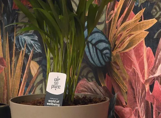 Apartment Leaf By Sattal *