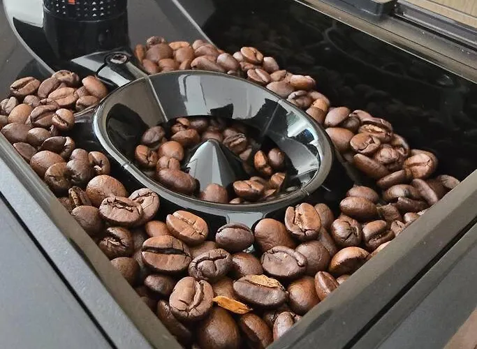 Leaf By Sattal Bucharest