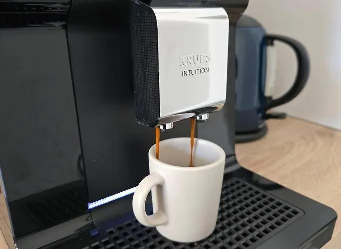 Leaf By Sattal * Bucharest